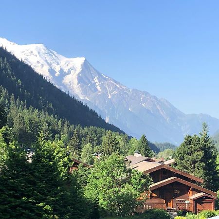 Residence La Verte 24- Aux Pieds Des Pistes! Chamonix Ngoại thất bức ảnh