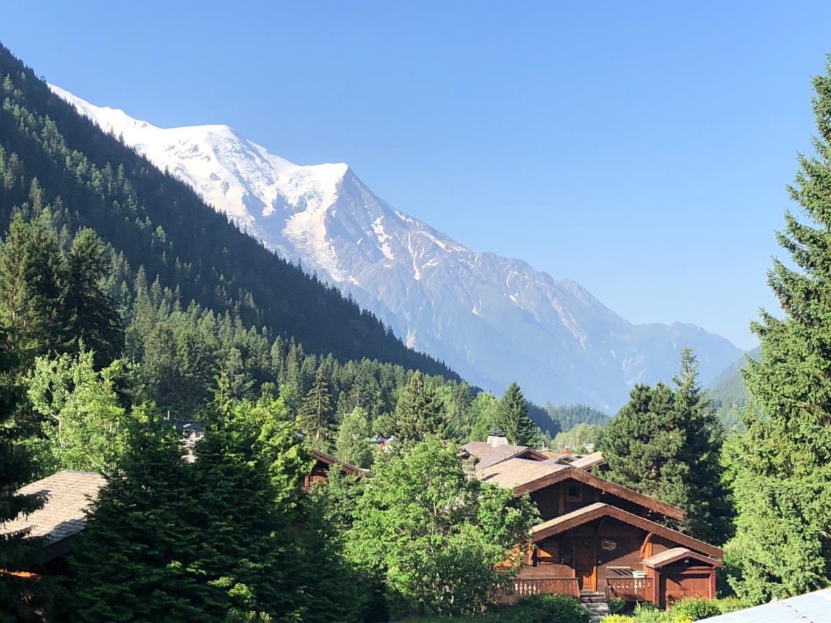 Residence La Verte 24- Aux Pieds Des Pistes! Chamonix Ngoại thất bức ảnh